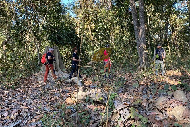 1 Night 2 Days Chitwan Jungle Safari Tour from Kathmandu - Morning jeep safari: what you’re actually aiming to see