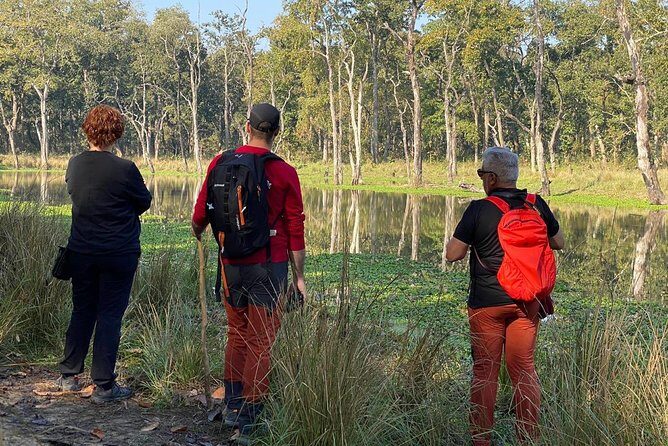 1 Night 2 Days Chitwan Jungle Safari Tour from Kathmandu - Price and value: is $155 worth it for a one-night safari?