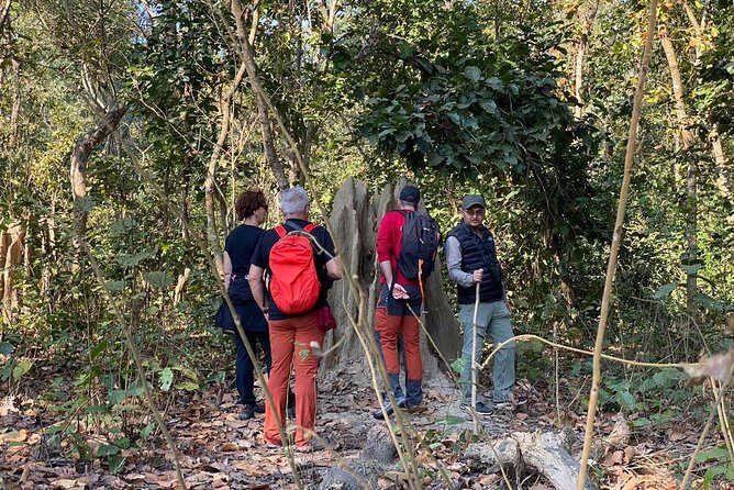 1 Night 2 Days Chitwan Jungle Safari Tour from Kathmandu - Who this Chitwan safari is best for (and who should double-check)