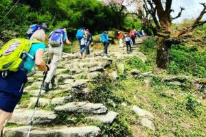 11-Day Hike Tour to Annapurna Base Camp Bliss in Kathmandu - Poon Hill and Ghorepani to Tadapani: the view-day that builds momentum