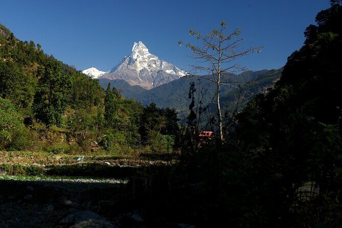 12-Day Nepal Adventure Trek with Jungle Safari - Annapurna intro trek starts: Nayapul to Tikhedhunga