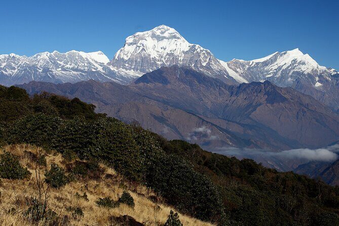 12-Day Nepal Adventure Trek with Jungle Safari - To Ulleri and onward: the climb that sets the pace (and the breathing rhythm)