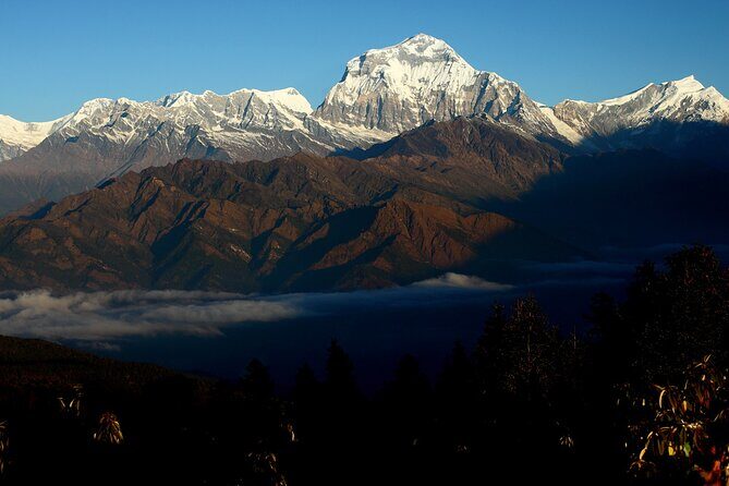 12-Day Nepal Adventure Trek with Jungle Safari - Ghandruk: easier walking through forests and village life