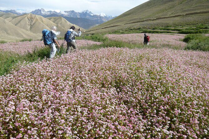12 Days Overland Tour to Upper Mustang - Ghami and the monastery morning energy