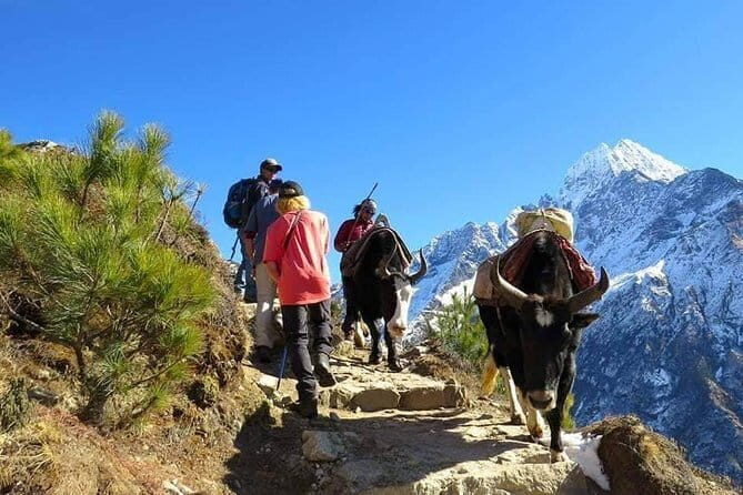 14 Days Everest Base Camp Trekking - Gorakshep and Everest Base Camp: the glacier path feel and the emotional payoff