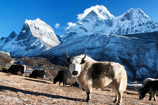 14-Days Private Everest Base Camp Trek - Key highlights worth your attention