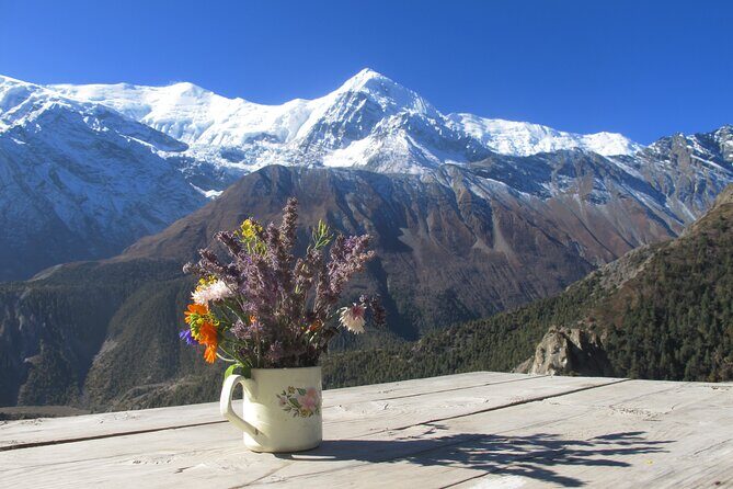 15-Day Private Annapurna Circuit Trek from Kathmandu - Manang acclimatization: the day that protects your Thorong La attempt