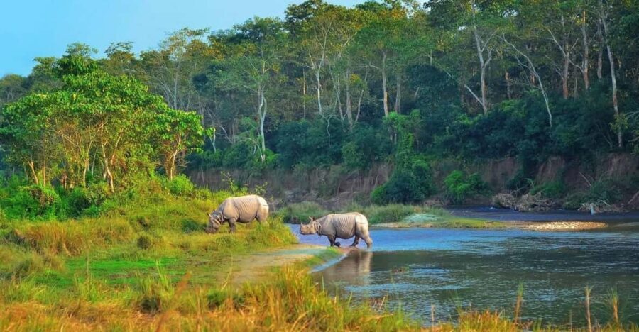 2 Days Chitwan Jungle Safari Tour from Pokhara/Kathmandu - Quick hits before you go