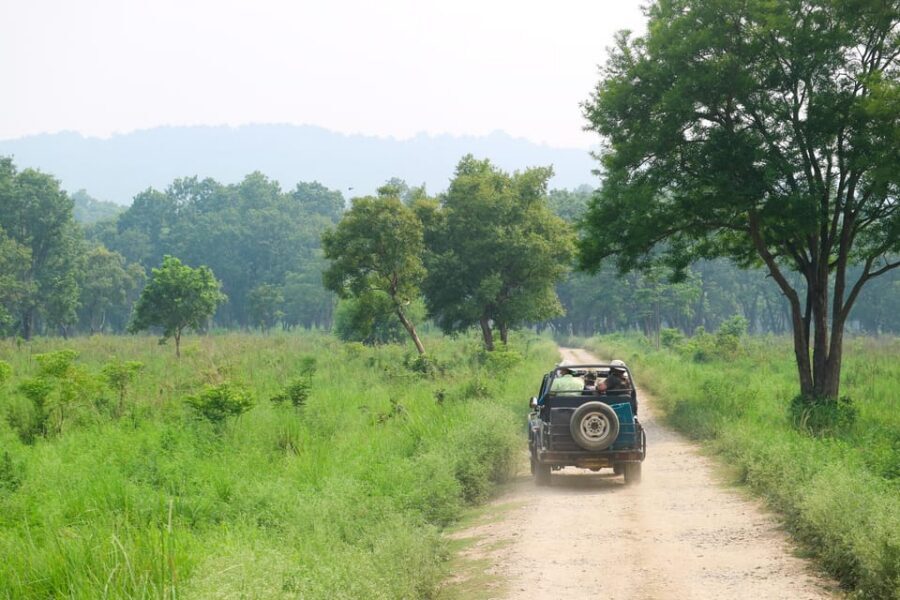 2 Days Chitwan Jungle Safari Tour from Pokhara/Kathmandu - Price and logistics: $117 and what you’re buying