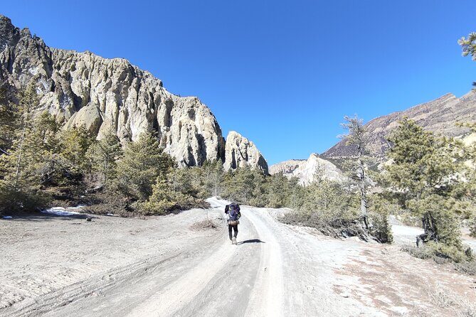 20 Days Annapurna Circuit Trek - Marpha to Tatopani: the Kali Gandaki valley and the vegetation flip