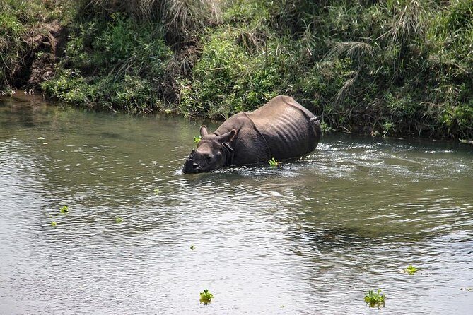 3-Day Chitwan Jungle Safari Tour from Kathmandu - Key Things I Think You’ll Like a Lot
