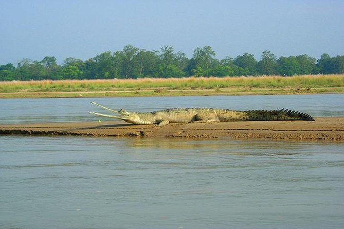 3-Day Chitwan Jungle Safari Tour from Kathmandu - Where You’ll Stay: 3-Star Lodges and What That Means