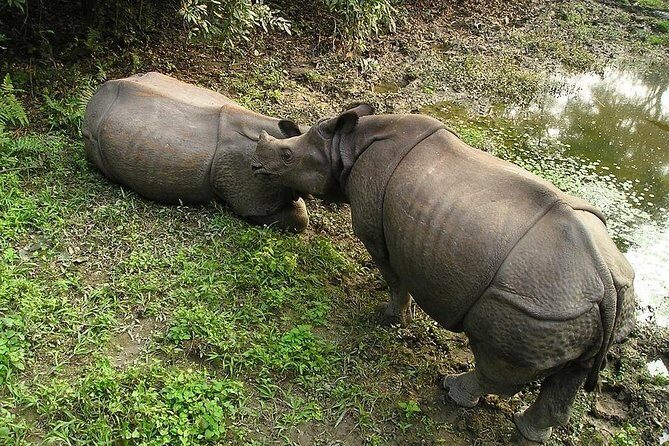 3-Day Chitwan Jungle Safari Tour from Kathmandu - Clothing and Heat: How to Prepare for Terai Weather