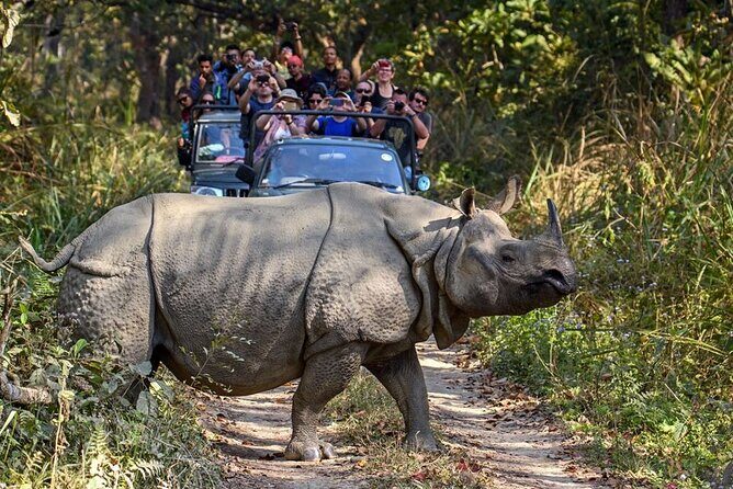 3-Day Chitwan National Park Jungle Safari Tour Package with Pick Up - Day 2: Rapti River Canoe Ride and Early Bird Watching