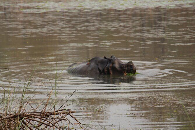 3-Day Chitwan National Park Jungle Safari Tour Package with Pick Up - Where You Stay Near Chitwan: Three-Star Comfort, Not Luxury