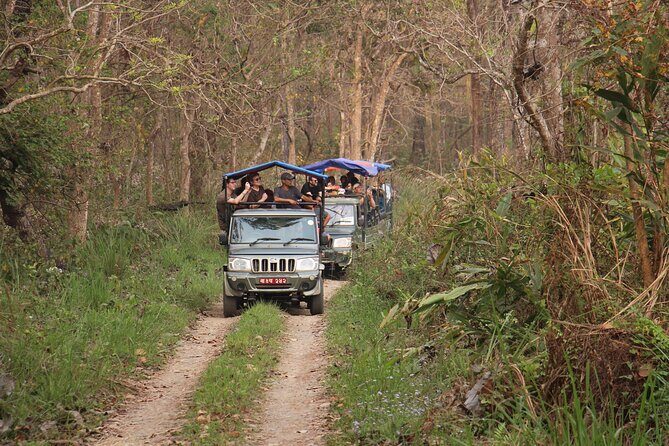 3-Day Chitwan National Park Jungle Safari Tour Package with Pick Up - Meals Included: Real Value for a Wildlife Weekend