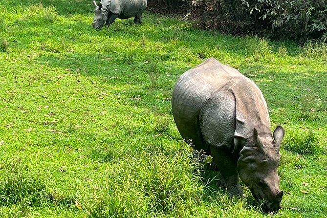 3-Day Guided Safari Tour in Chitwan National Park in Nepal - The Kathmandu-to-Chitwan Drive: Your First Big Transition