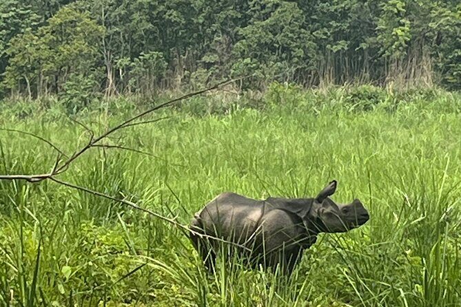 3-Day Guided Safari Tour in Chitwan National Park in Nepal - Day 1: Chitwan Arrival, Tharu Village, and a Jeep Safari Mix
