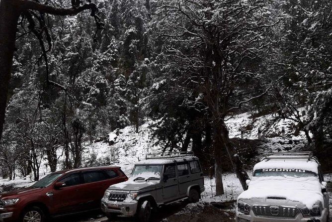 3 Days Kalinchowk Trekking from Kathmandu - Kalinchowk in 3 Days: the real value of a short trek