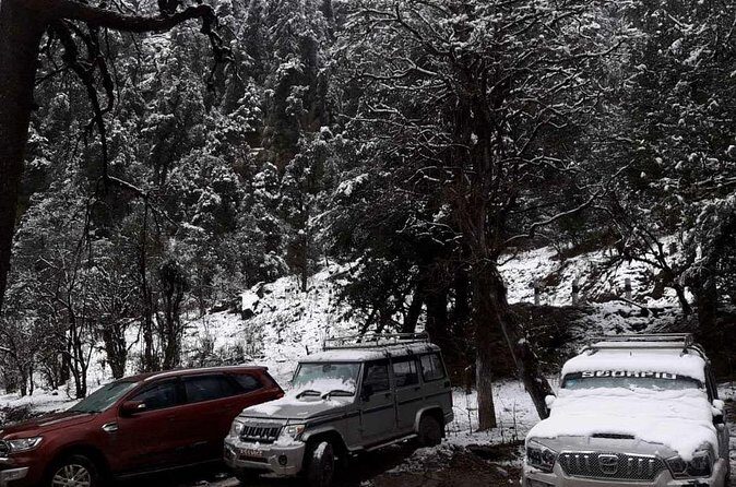 3 Days Kalinchowk Trekking from Kathmandu - Meals not included: flexibility, yes. But plan your budget