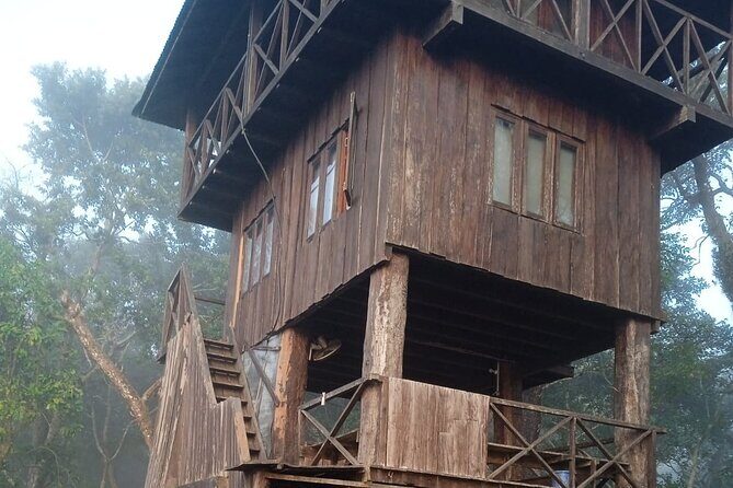 3 Nights 4 Days Chitwan National Park with Tower Night Stay - Key Points Worth Booking For
