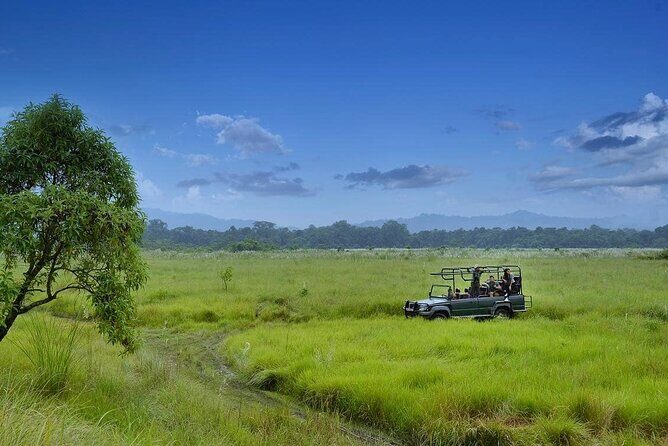 3 Nights 4 Days Chitwan National Park with Tower Night Stay - Why Chitwan’s Wooden Tower Night Feels Different