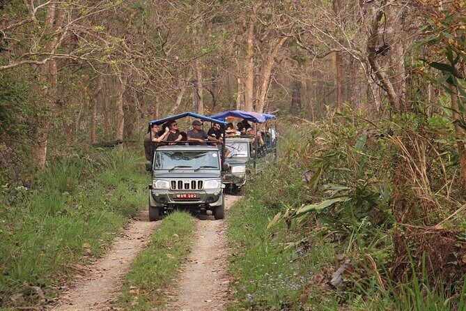 3 Nights 4 Days Chitwan National Park with Tower Night Stay - Day 2 Canoe on the Rapti River: Birds, Mugger, and Gharial