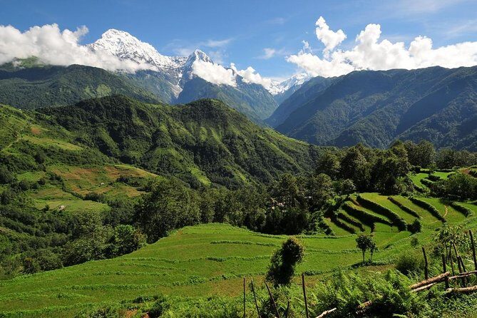 4-day Poon Hill Trek - Teahouse nights: simple lodging, real meals, and smart expectations