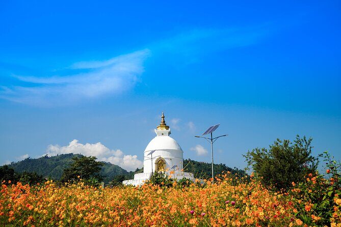 6 Days Private Himalayan Dreams of Nepal - Sarangkot Sunrise Views and the Kathmandu-to-Mountain Rhythm