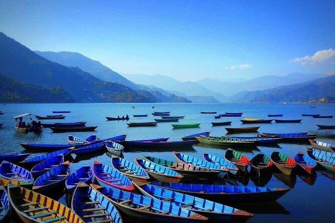 8 Days Tour in Nepal (3 Star Accommodation) - Chitwan National Park: how the safari day is structured