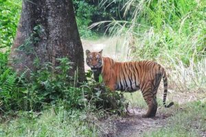 8 Days Tour in Nepal (Accommodation at 5 Star Hotel) - Day one in Thamel: land, settle, and get your bearings fast