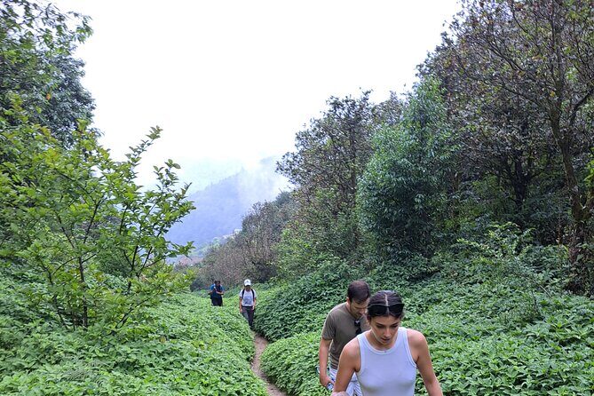 Amazing 1 Day Trekking Experience in Kathmandu Nepal - Stair-count reality: how hard is it, really