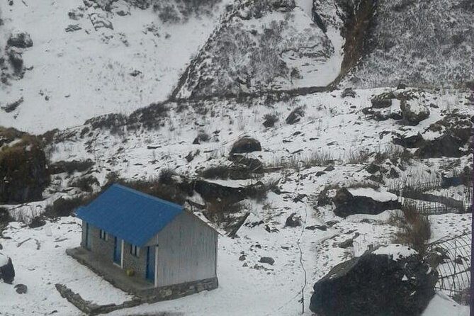 Annapurna base camp -9 days - Day 3: Landrung and the oak-forest route—village life and shade