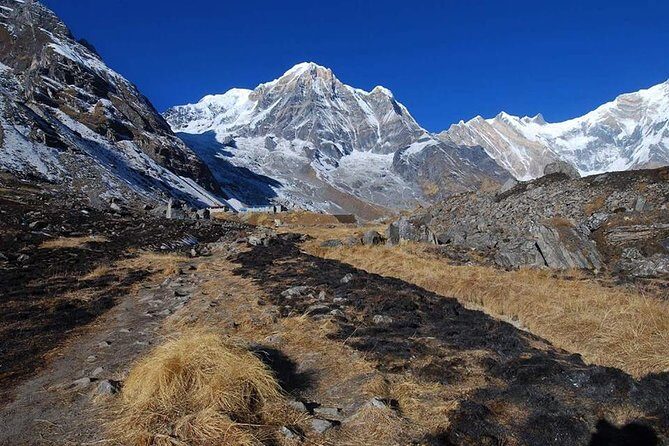 Annapurna Base Camp, Nepal 10 days - Chhomrong and the 2500 Stone Steps: Where the Trek Gets Real