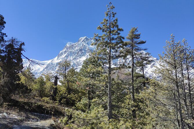 Annapurna Base Camp Trek 10 Days - Setting Off From Kathmandu: the smooth start that matters