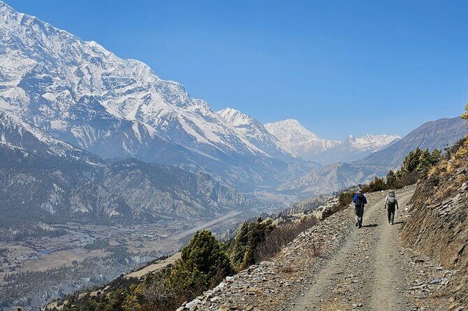 Annapurna Circuit Trek with Tilicho Lake (16 Days) - Yak Kharka and Thorong Phedi: your pass prep, step by step