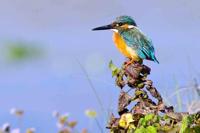 Best of Nepal Luxury Adventure Tour Package - 9 Days - Key highlights you should care about