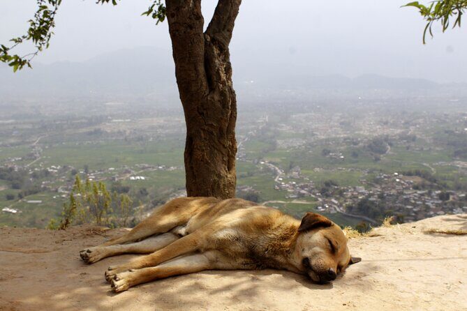 Changunarayan Hill to Telkot Hike Near Kathmandu Day Tour - Temple-to-TelKot: what this day hike feels like