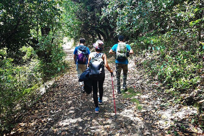 Chisapani - Nagarkot Trek Nepal - 3 Days - Day 3: from Nagarkot down to Changu Narayan Temple