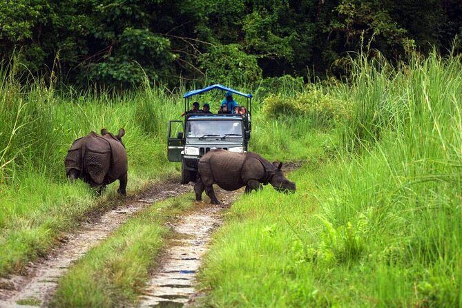Chitwan Jungle Safari 3-Day Tour - Should you book the 3-day safari, or stretch to 4 days?
