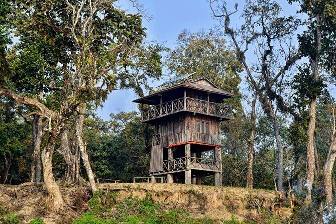 Chitwan Jungle Safari 3-Day Tour - Day 1: Chitwan Tharu Village, coach ride, and a comfy Chitwan base