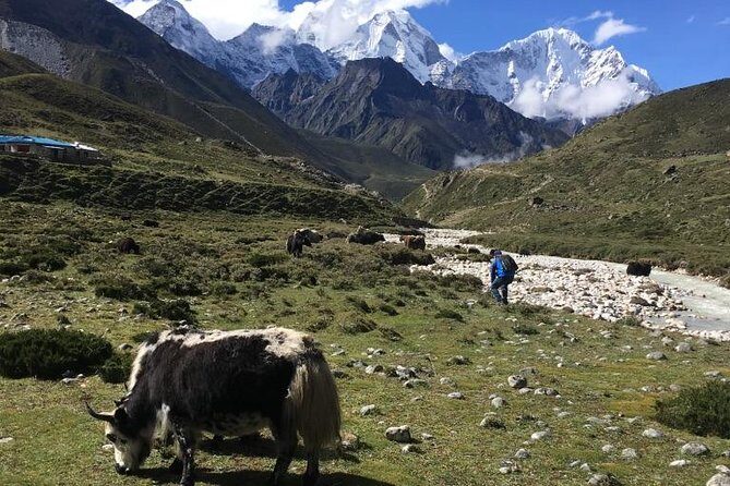Everest Base Camp Helicopter Tour landing at Everest View Hotel - Everest View Hotel Breakfast: High-Altitude Views With a Reality Check