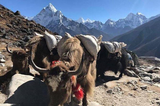 Everest Base Camp Trek 12 Days – Best Himalayan Adventure - Gorak Shep and Kala Patthar: why this trek is famous