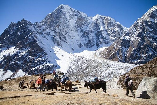 Everest Base Camp Trek with Helicopter Return to Lukla - 10 Days - Quick hits on this Everest Base Camp trek