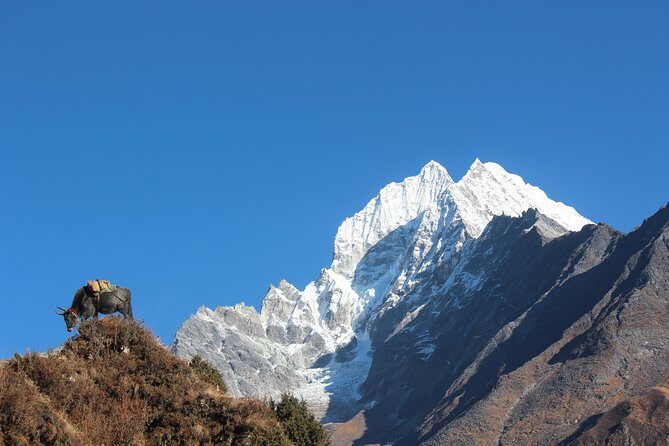 Everest Three Pass Trek - Namche to Tengboche: river crossings and the Sherpa rhythm