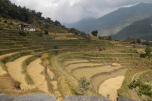 Experiential Career Break trip to Nepal for Gap year and Sabbatical travelers - Day 2: Boudhha and Bajrayogini, plus a hill viewpoint hike