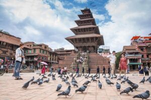 Experiential Tour of Nepal. - Chitwan safari: watching wildlife without turning it into a theme park