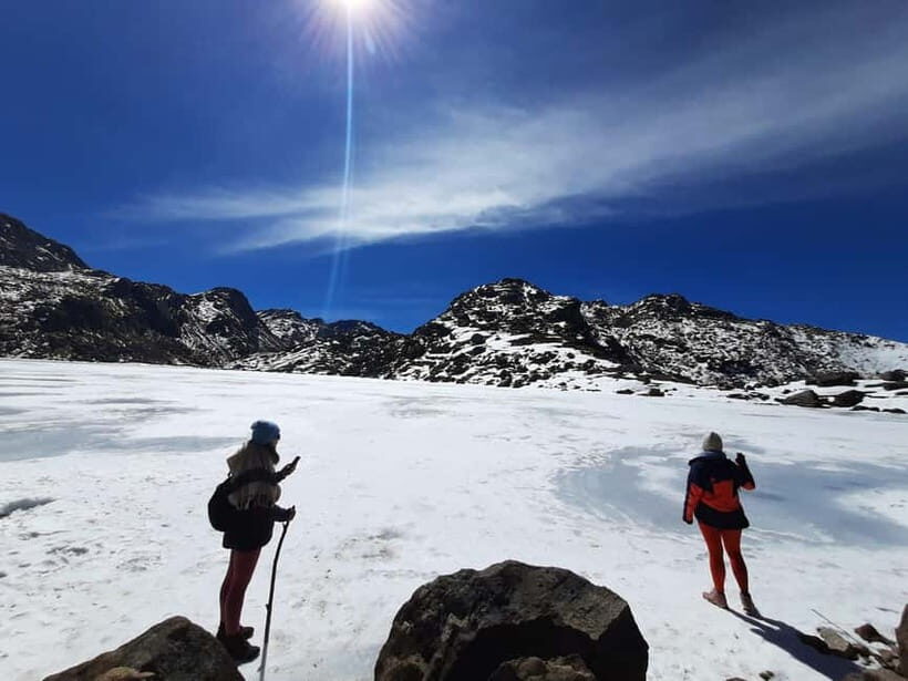 From Kathmandu: 5-Day Gosaikunda Lake Trek - The Descent Day: Rhododendron, Pine, Bamboo, and Dhunche