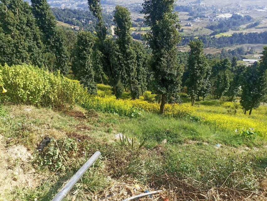 From Kathmandu: Everest View from Nagarkot & hike to Changu - Price and value: what you’re paying $43 for (and what to budget for)