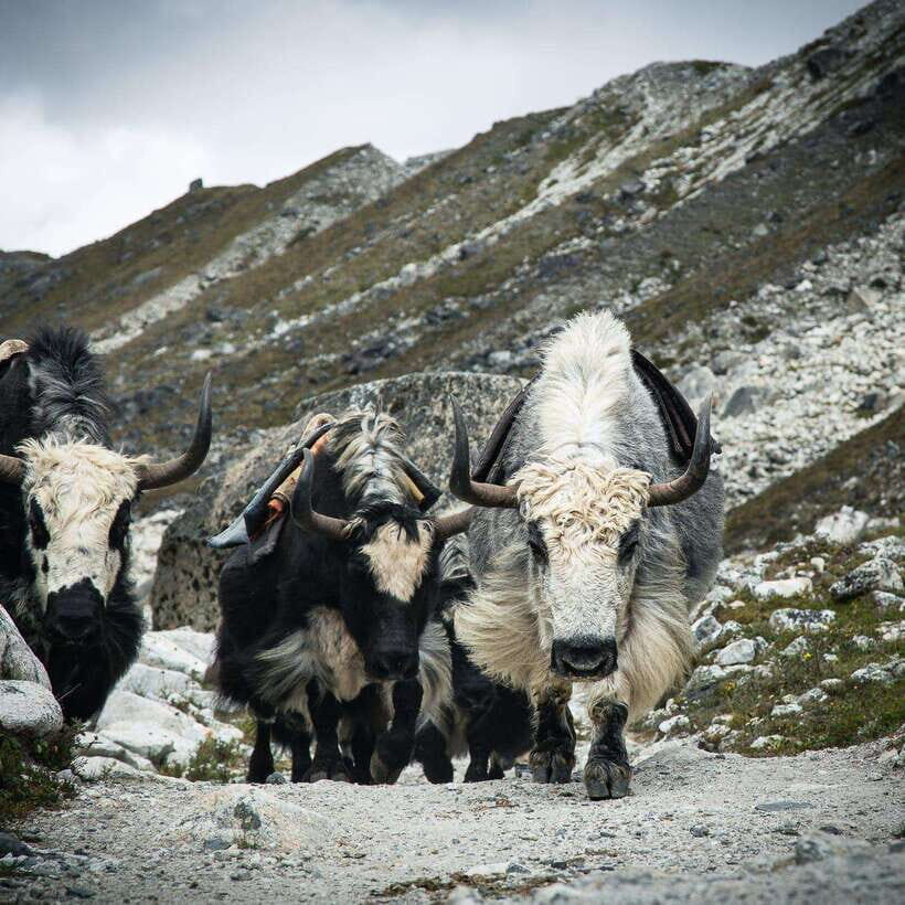 From Kathmandu: Guided Everest Base Camp Trek - How the return days keep you safe and moving